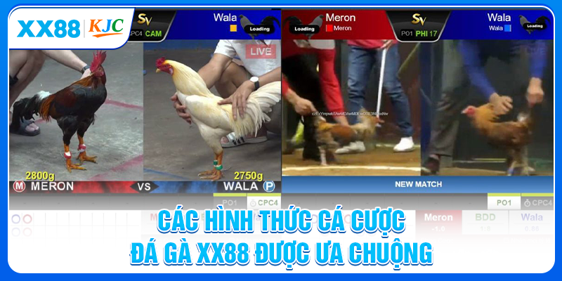 Các hình thức cá cược đá gà XX88 được ưa chuộng