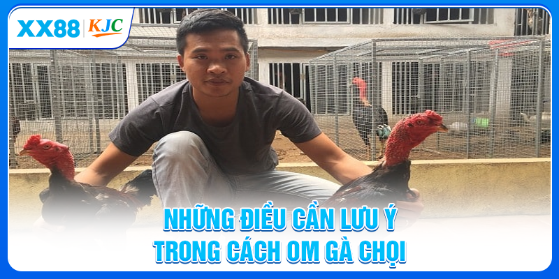 Những điều cần chú ý trong cách om gà chọi